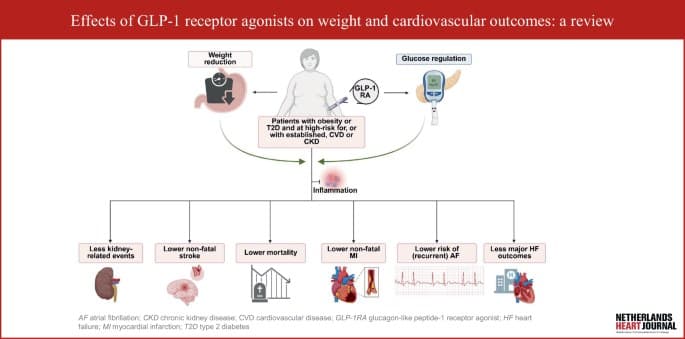 Figure 1 from the Netherlands Heart Journal review.
