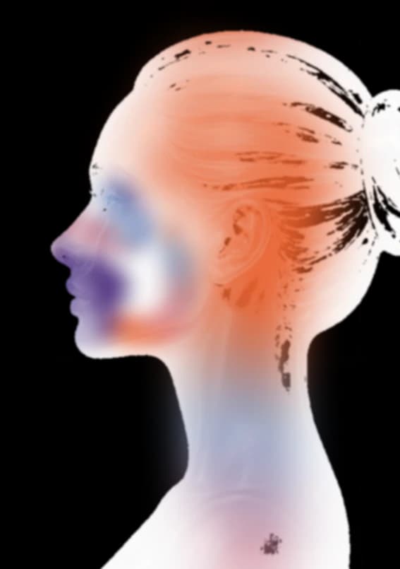 A translucent profile head with warm facial volume color and cool contour shadows.