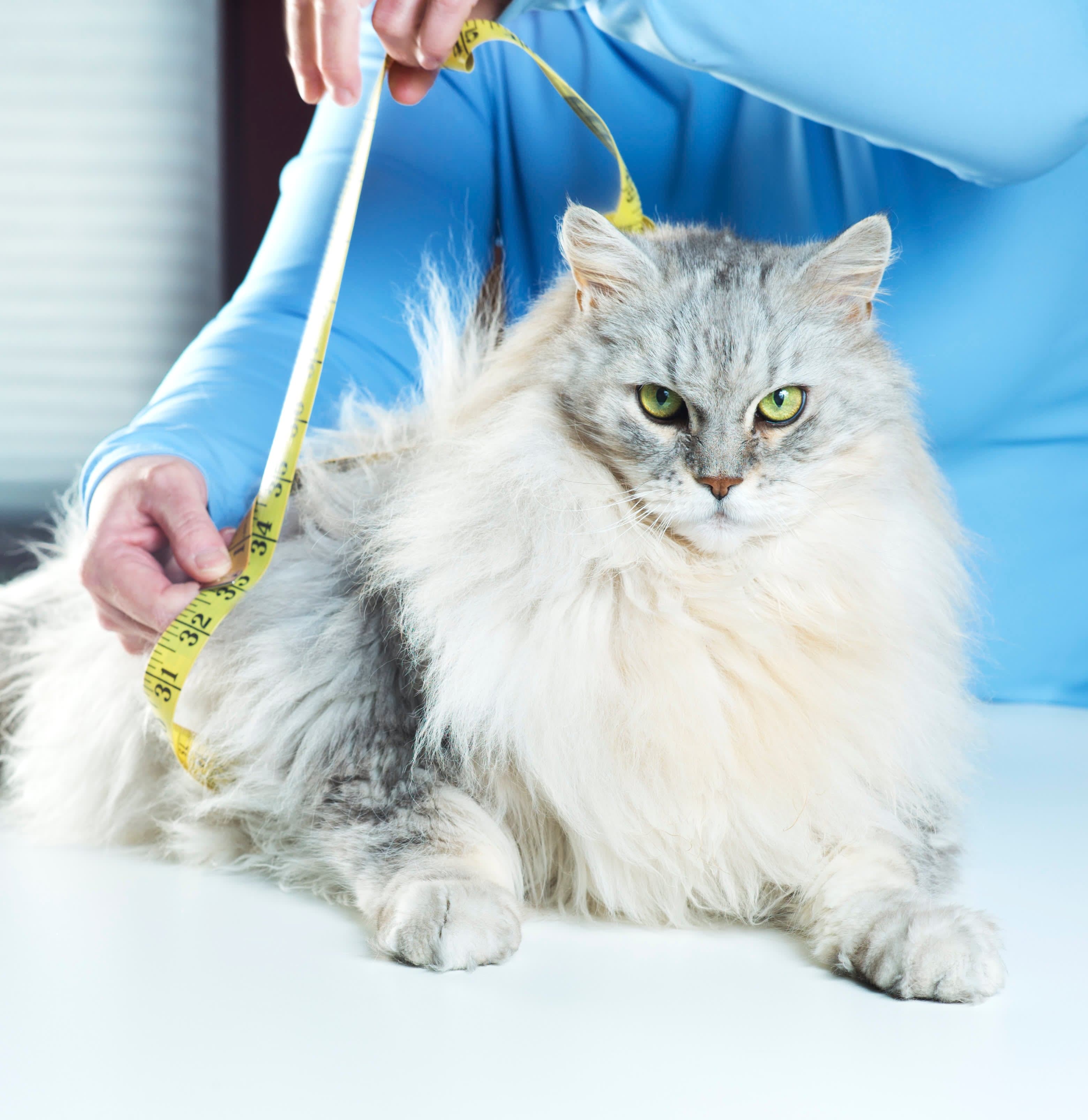 Editorial lead image accompanying CNBC Health and Science coverage.